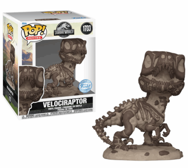 Velociraptor (Fossil) 6 Inch. - Afbeelding 4