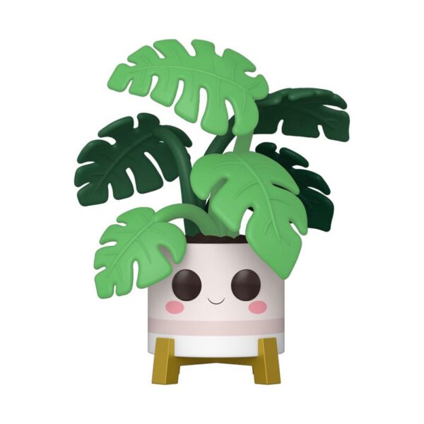 Monstera