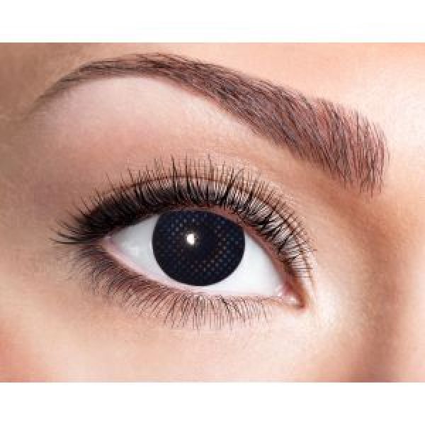 Beauty female blue eye with curl long false eyelashes - macro shot over white background